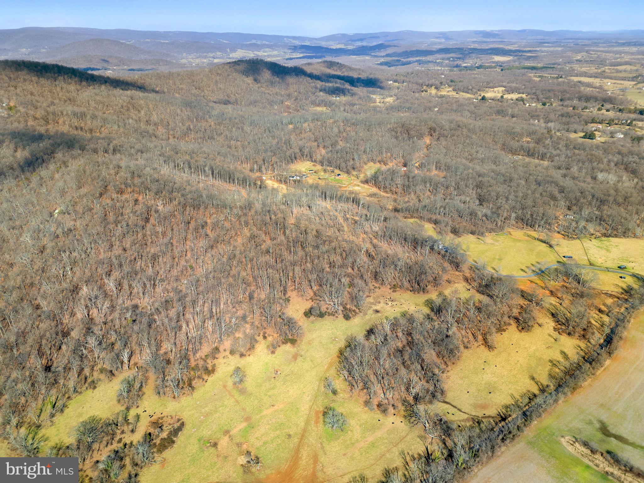 41-acres - Ramey Road Delaplane, VA 20144 - Photo 15 of 21