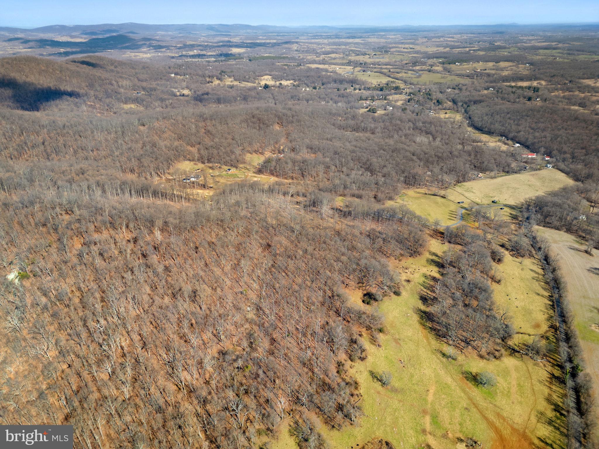 41-acres - Ramey Road Delaplane, VA 20144 - Photo 17 of 21