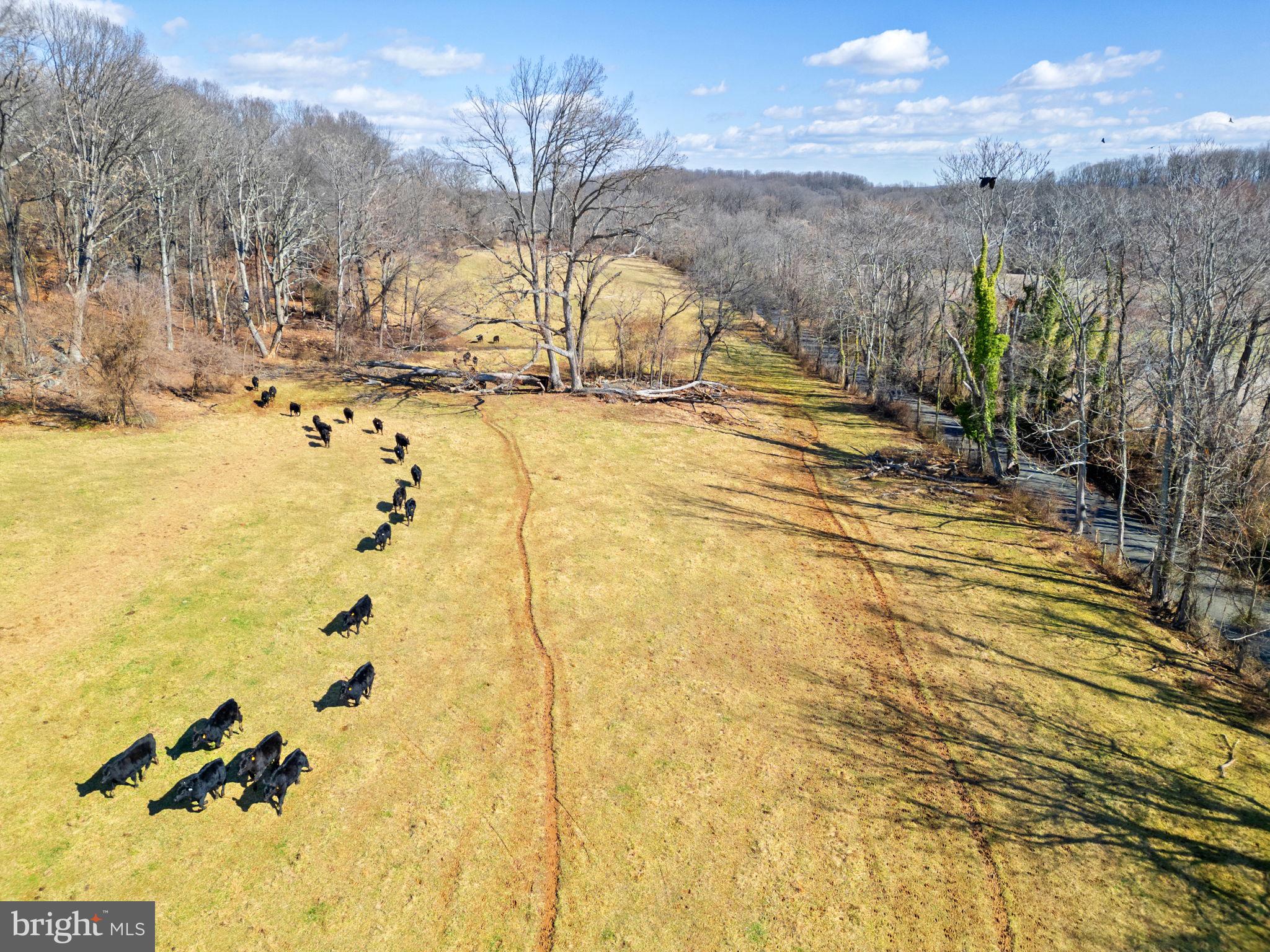 41-acres - Ramey Road Delaplane, VA 20144 - Photo 18 of 21