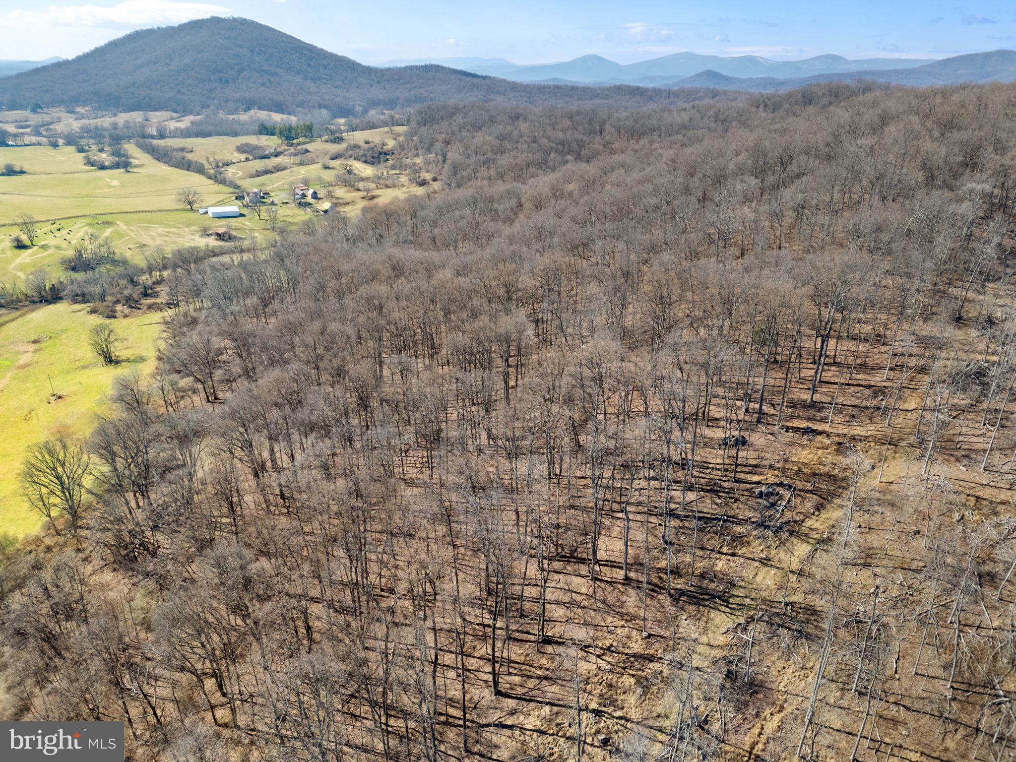 41-acres - Ramey Road Delaplane, VA 20144 - Photo 3 of 21