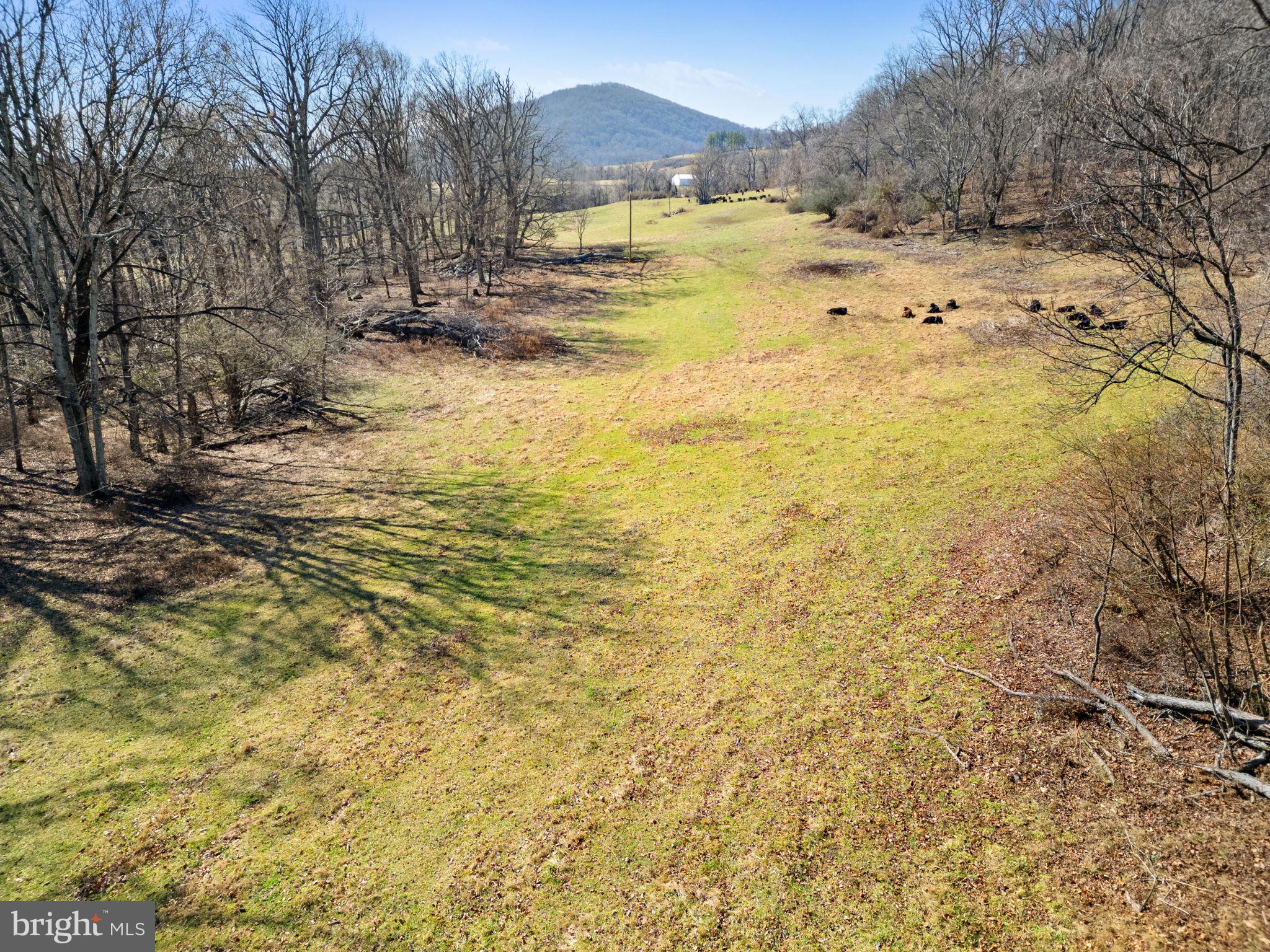 41-acres - Ramey Road Delaplane, VA 20144 - Photo 4 of 21