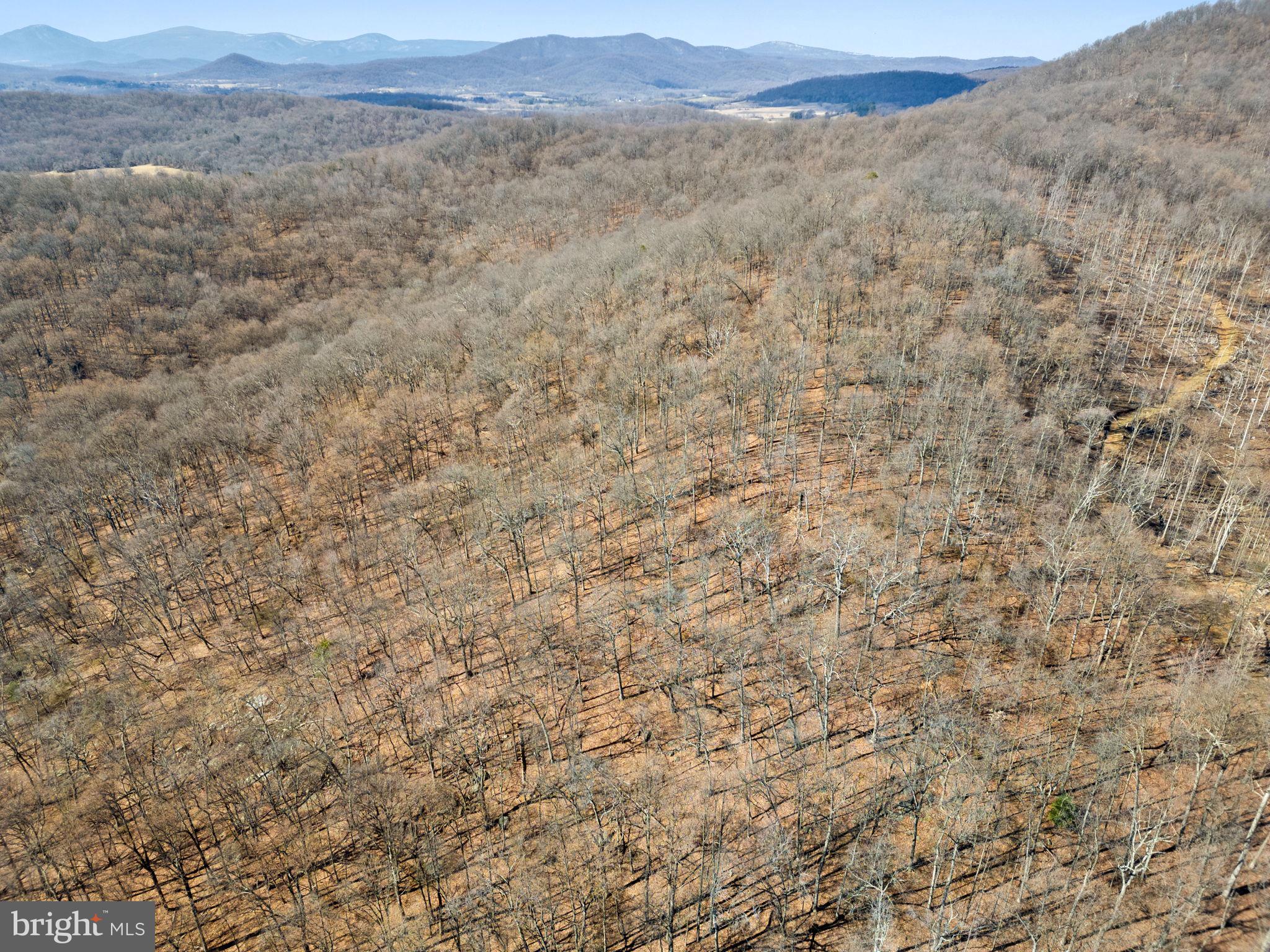 41-acres - Ramey Road Delaplane, VA 20144 - Photo 5 of 21