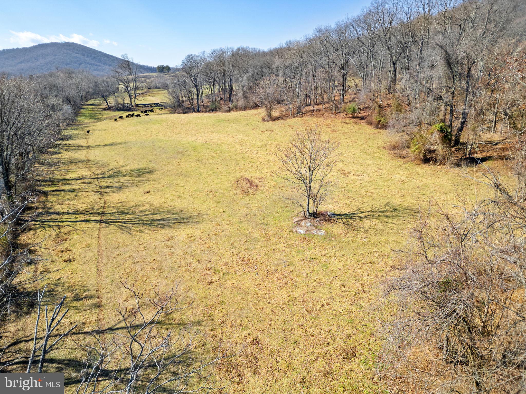 41-acres - Ramey Road Delaplane, VA 20144 - Photo 6 of 21