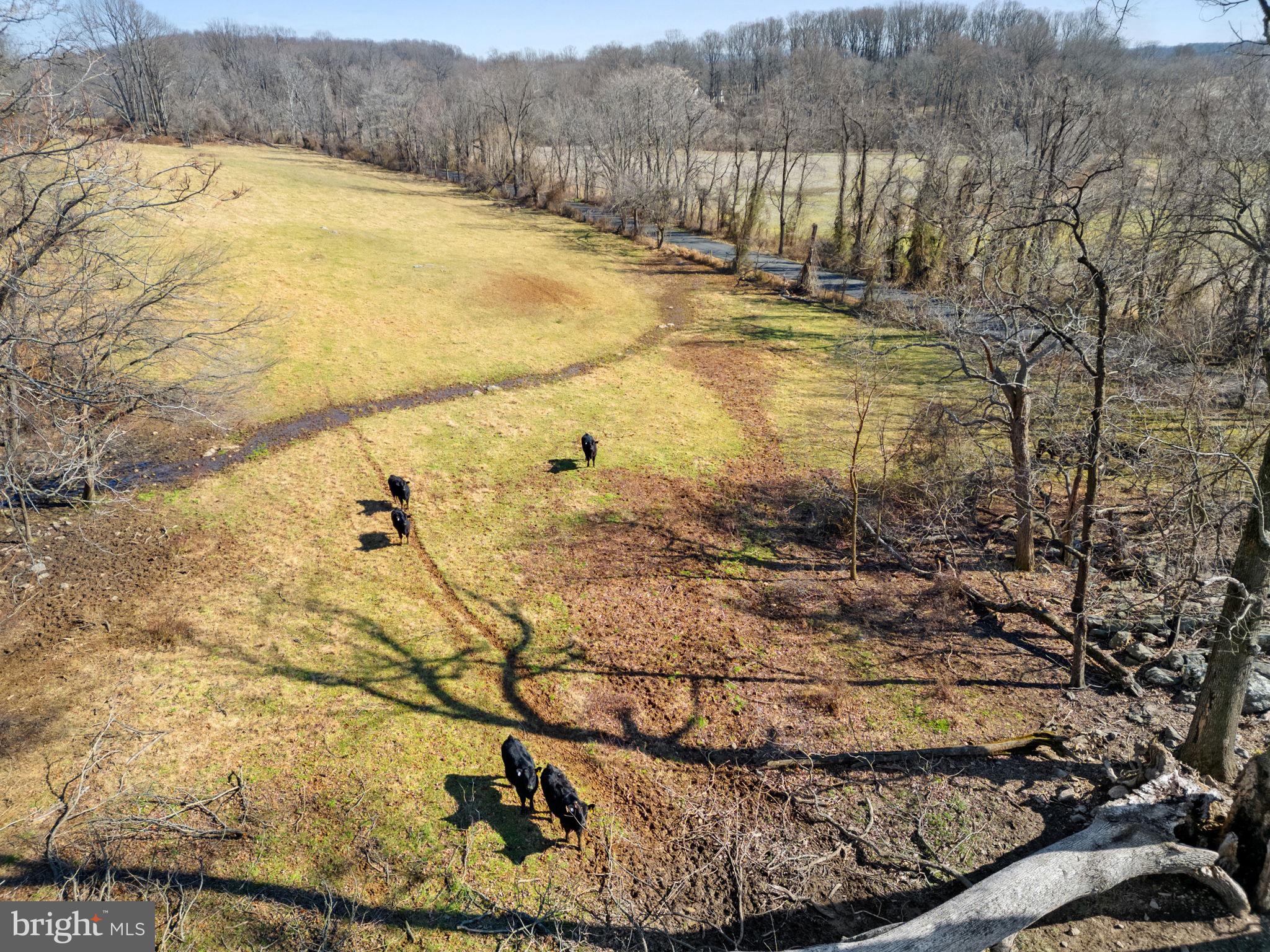 41-acres - Ramey Road Delaplane, VA 20144 - Photo 9 of 21