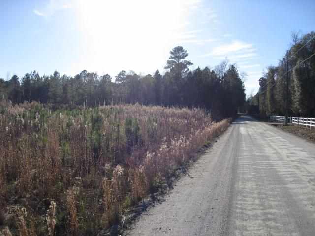 10.67-acres Tom Dorman Road Longs, SC 29568 - Photo 1 of 6 Gallery Image 1