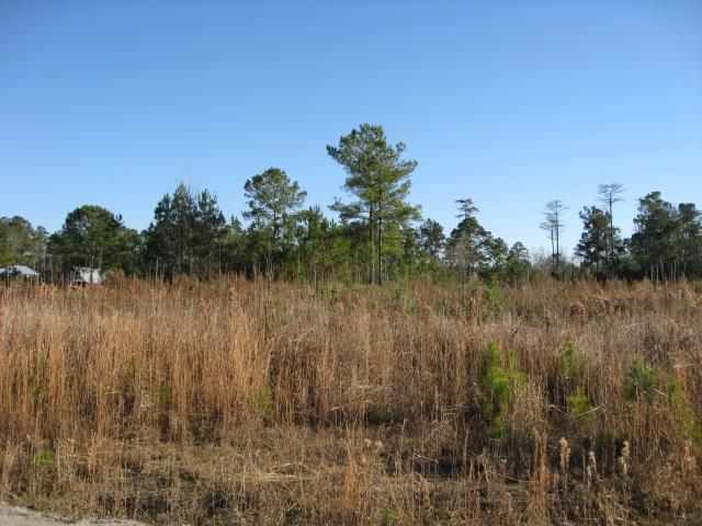 10.67-acres Tom Dorman Road Longs, SC 29568 - Photo 3 of 6 Gallery Image 3