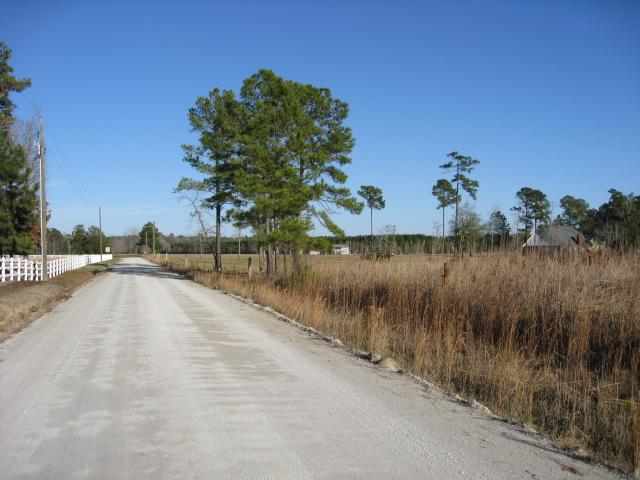 10.67-acres Tom Dorman Road Longs, SC 29568 - Photo 5 of 6 Gallery Image 5
