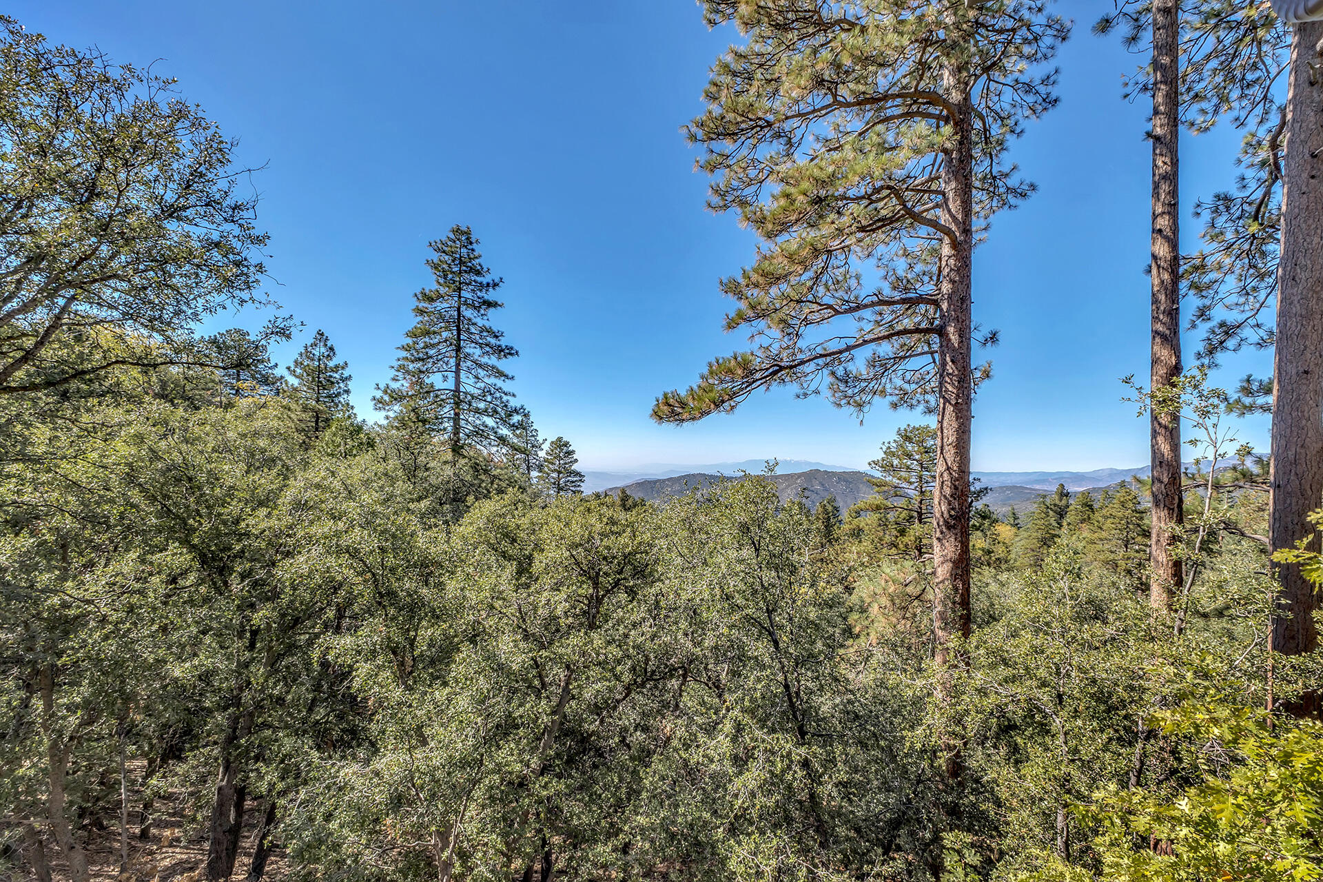52300 Sylvan Way Idyllwild, CA 92549 - Photo 60 of 88 a view of a lake