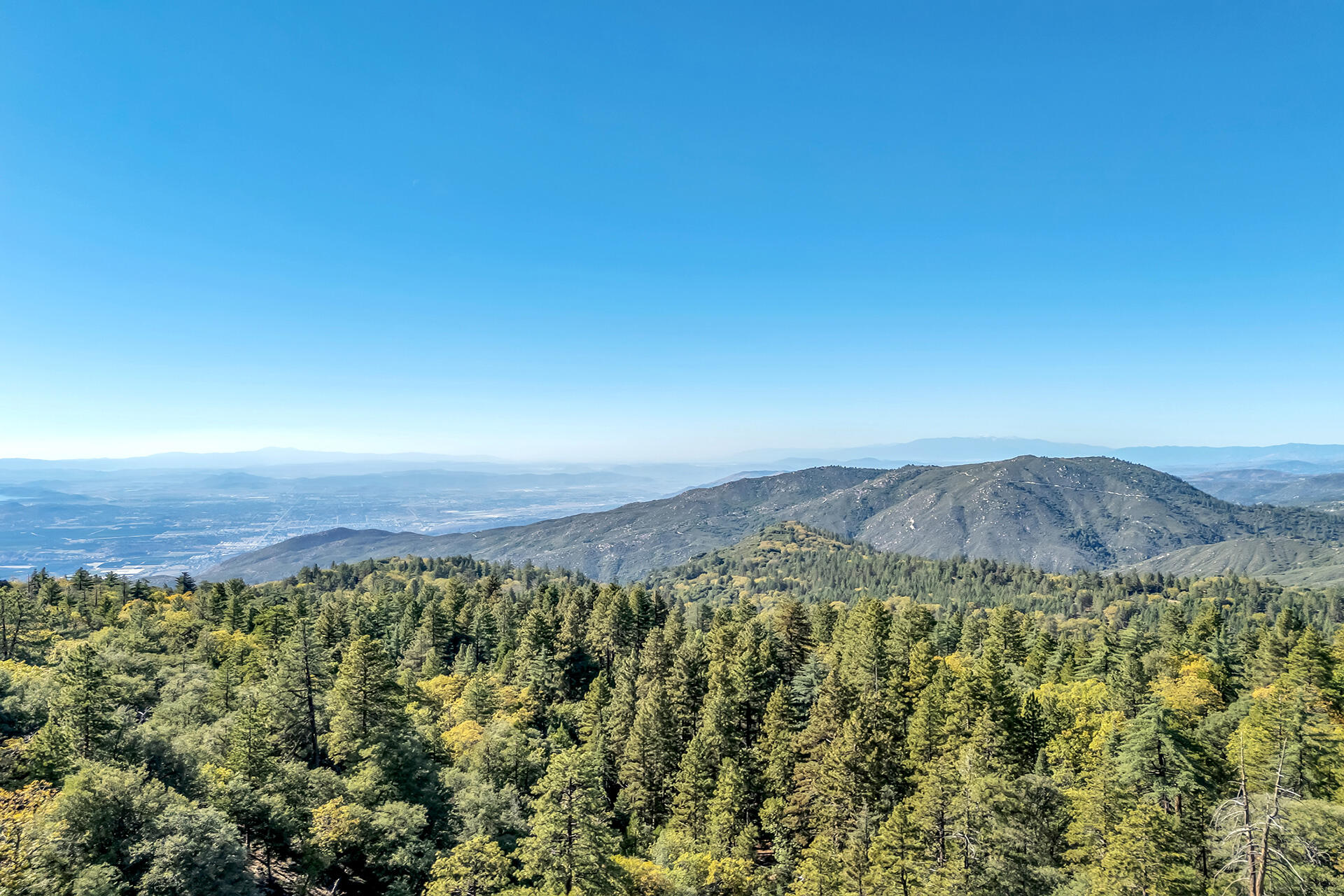52300 Sylvan Way Idyllwild, CA 92549 - Photo 61 of 88 a view of a lush green field