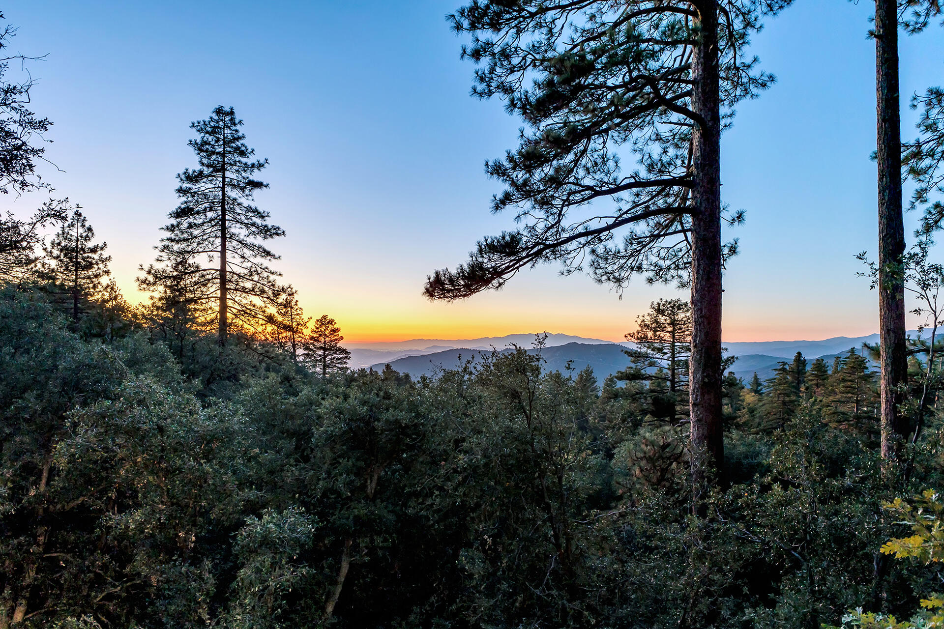 52300 Sylvan Way Idyllwild, CA 92549 - Photo 76 of 88 IMG_3485