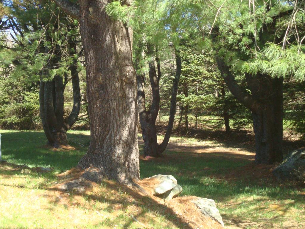 18 Carey Farm Road Sunapee, NH 03782 - Photo 21 of 23