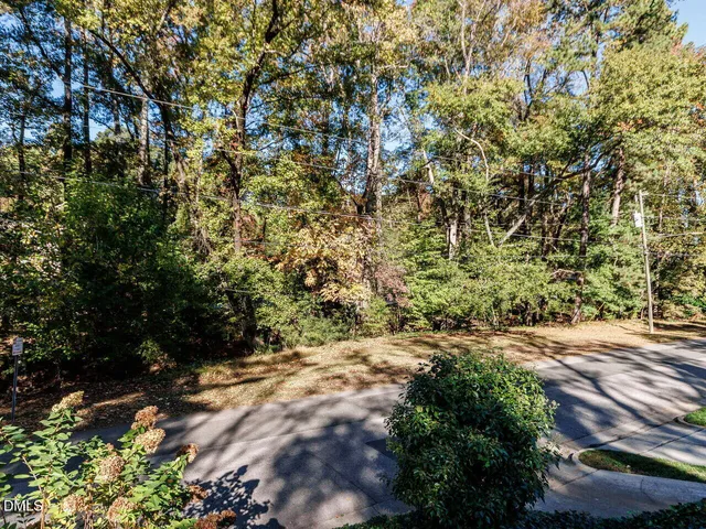 a view of a yard with plants and trees
