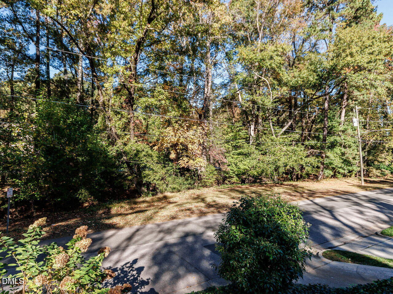 1332 Banbury Road Raleigh, NC 27607 - Photo 44 of 46 a view of a yard with plants and trees