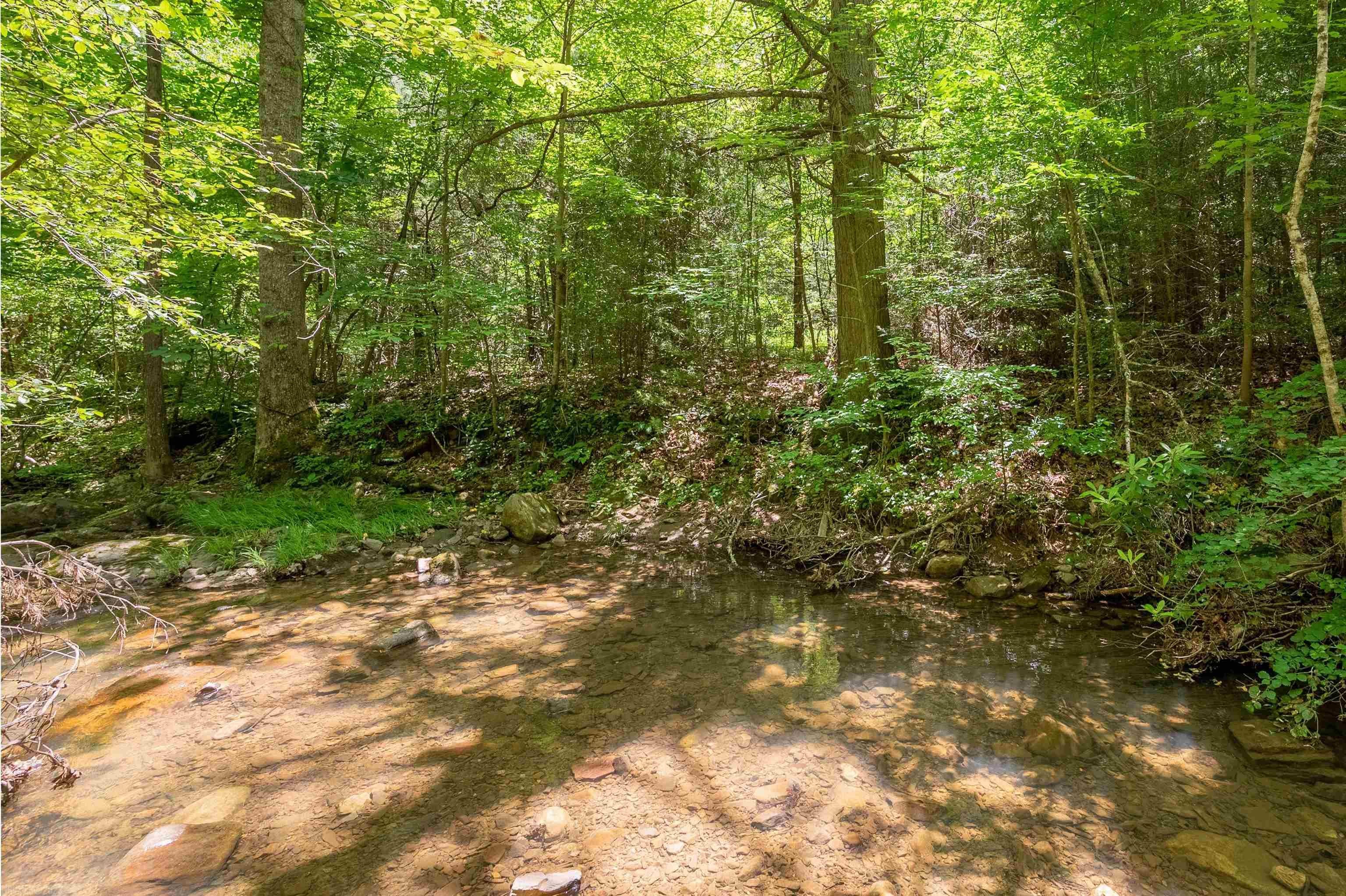 Tbd Tbd Dry Branch Road Dublin, VA 24084 - Photo 5 of 20 Gallery Image 5
