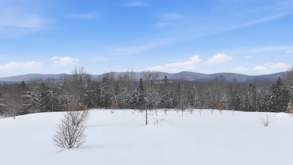 $1,075,000 | 1090 Center Road, Unit LOTS 1 & 2, Albany, VT 05845