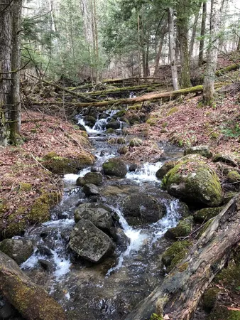 $1,075,000 | 1090 Center Road, Unit LOTS 1 & 2, Albany, VT 05845