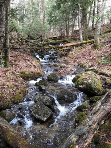 $1,109,400 | 1090 Center Road, Unit LOTS #1 & #2, Albany, VT 05845