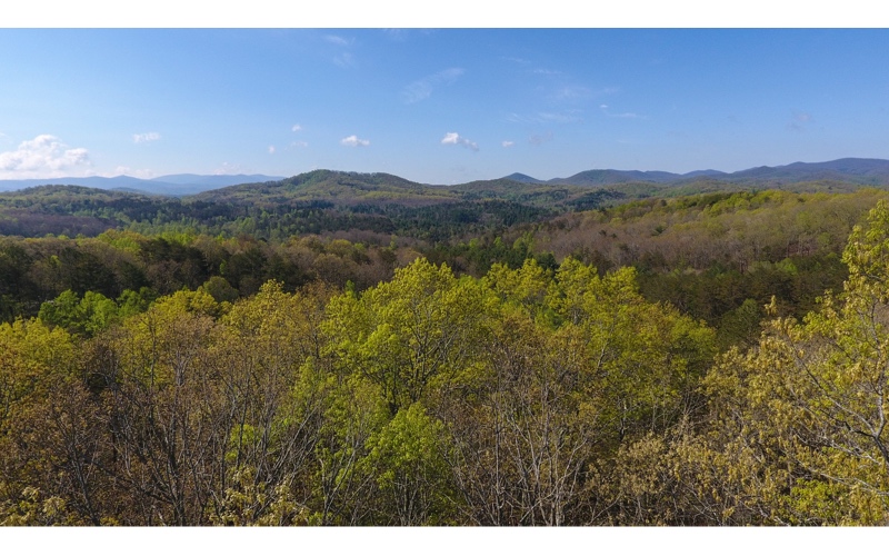 Meadow Ridge Morganton, GA 30560 - Photo 1 of 1 Main View