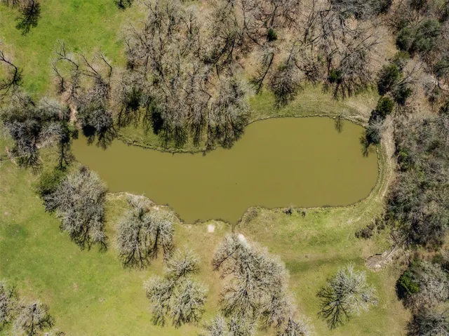 a view of a park with large trees