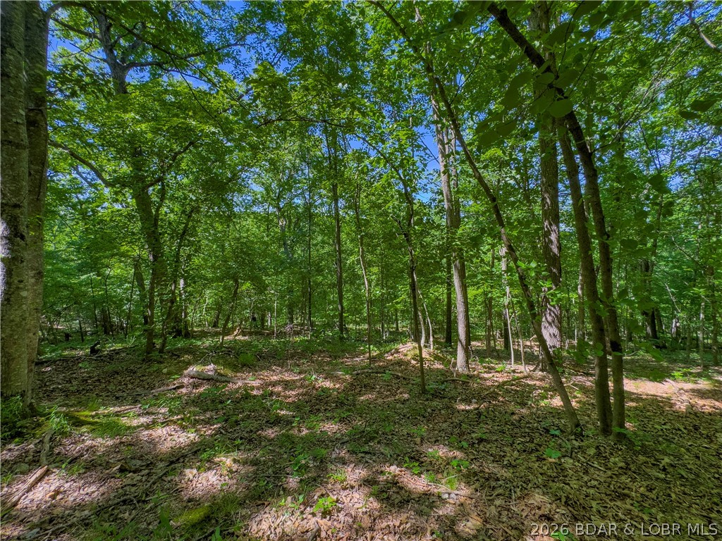 Valley Spring Road Camdenton, MO 65020 - Photo 17 of 19
