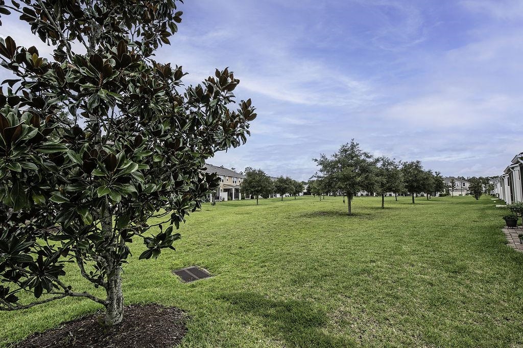 41 Nelson Lane St. Johns, FL 32259 - Photo 16 of 34 a view of a big yard with a large trees