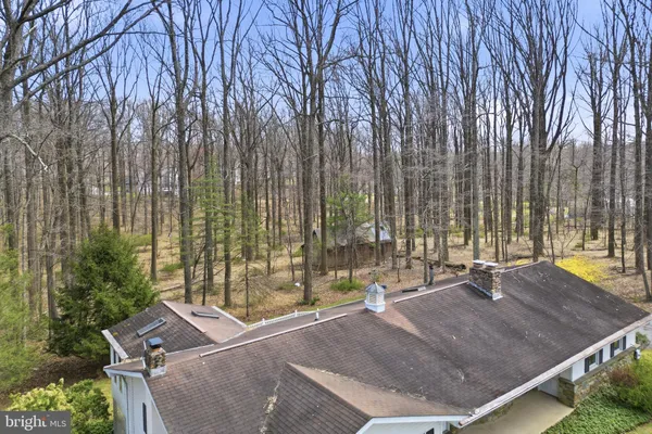 a backyard of house with a trees