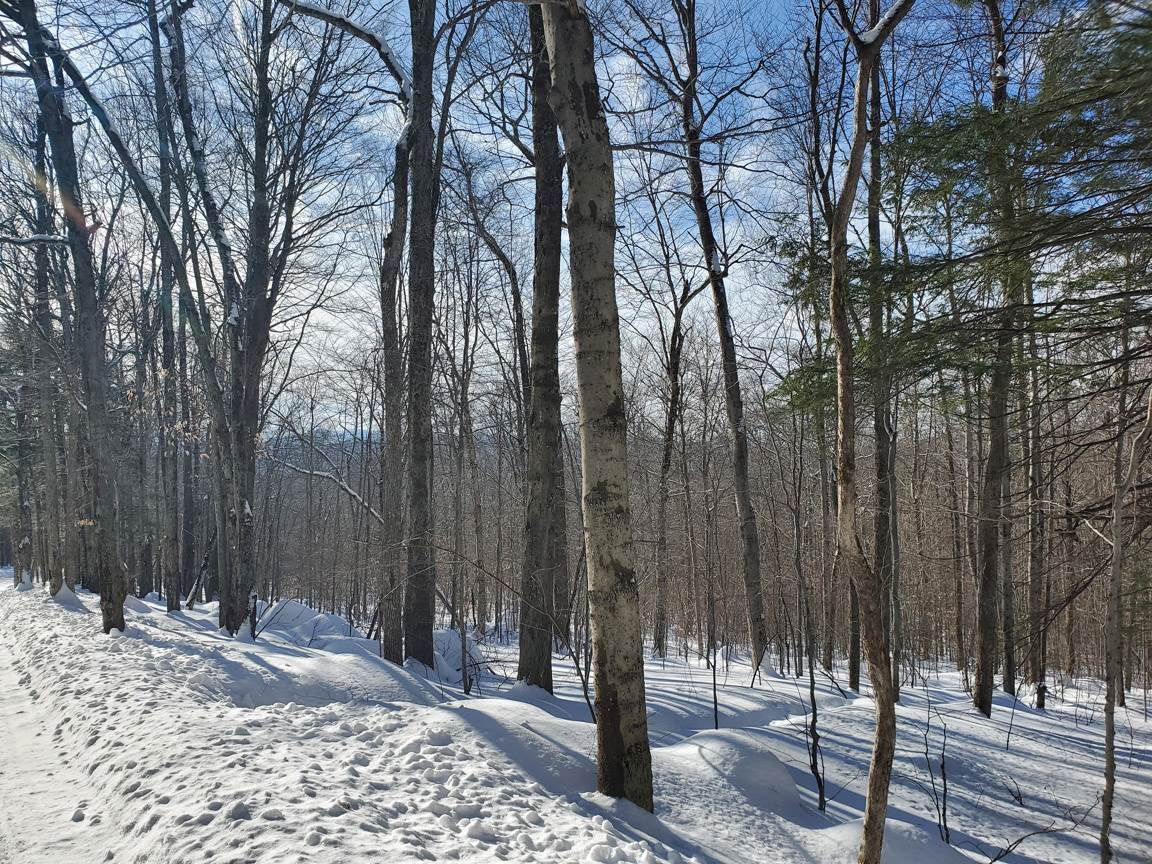 Lot 7 Pike Hill Road Hebron, NH 03241 - Photo 2 of 22 Gallery Image 2