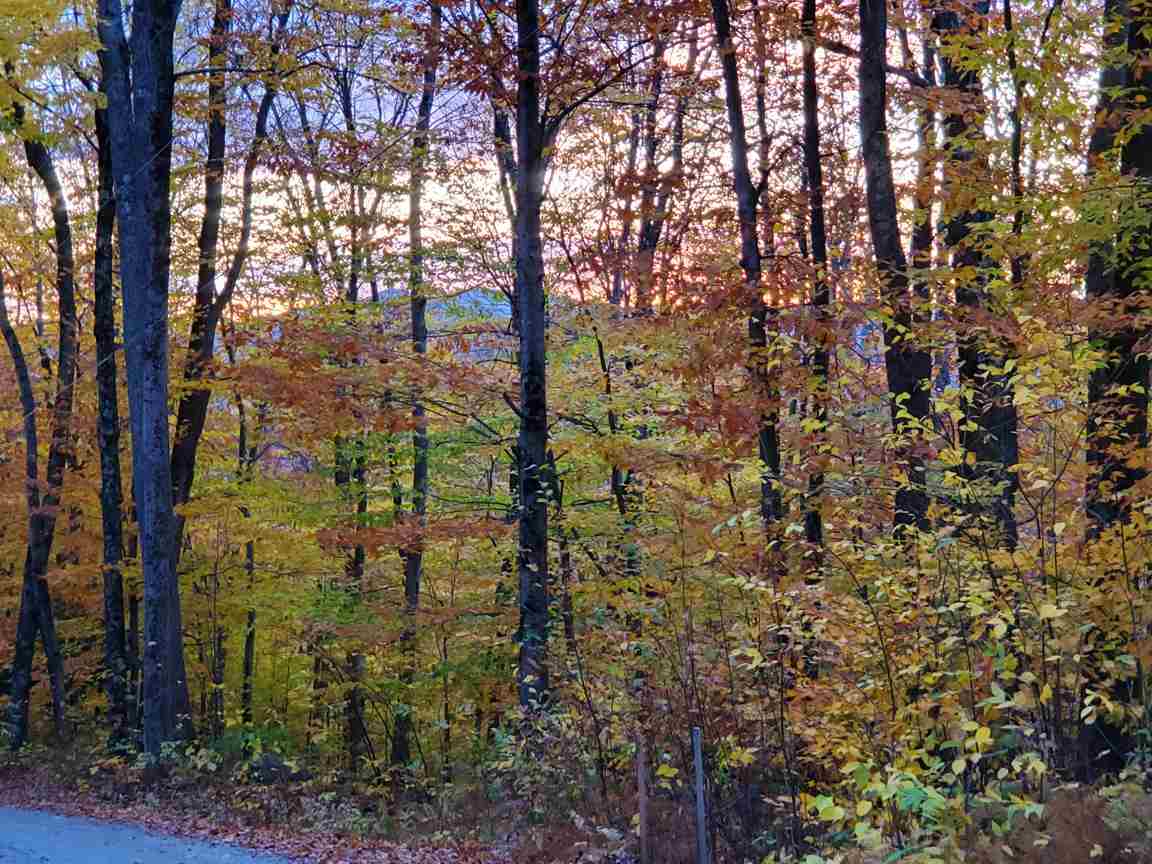 Lot 7 Pike Hill Road Hebron, NH 03241 - Photo 3 of 22 Gallery Image 3