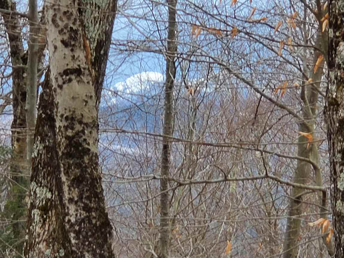 Lot 7 Pike Hill Road Hebron, NH 03241 - Photo 4 of 22 Gallery Image 4