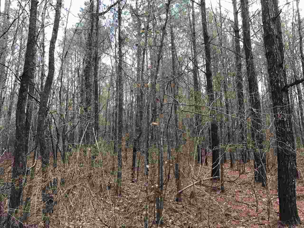 0 Ward Road Florence, MS 39073 - Photo 15 of 29 Photo 15