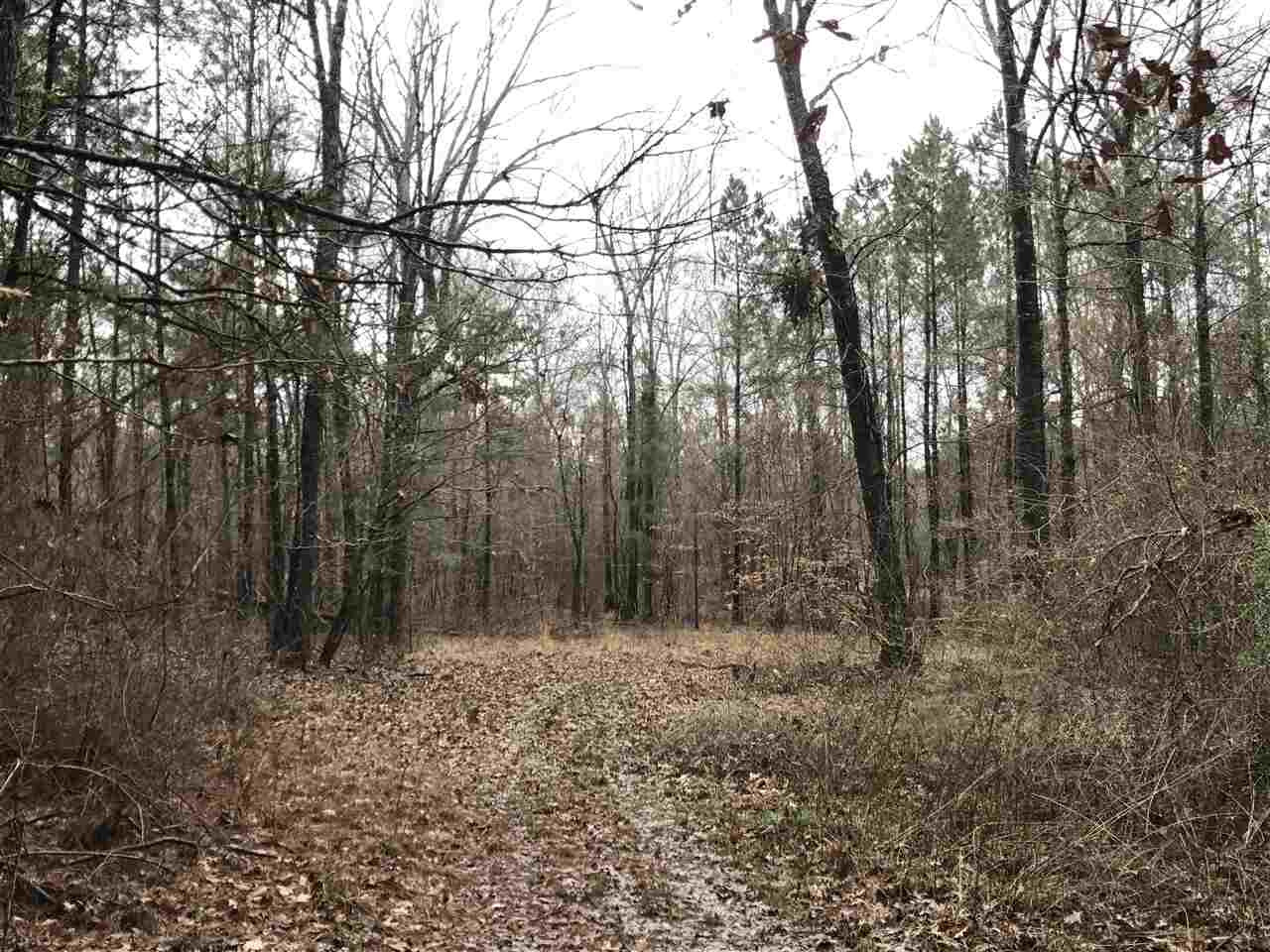 0 Ward Road Florence, MS 39073 - Photo 16 of 29 Photo 16