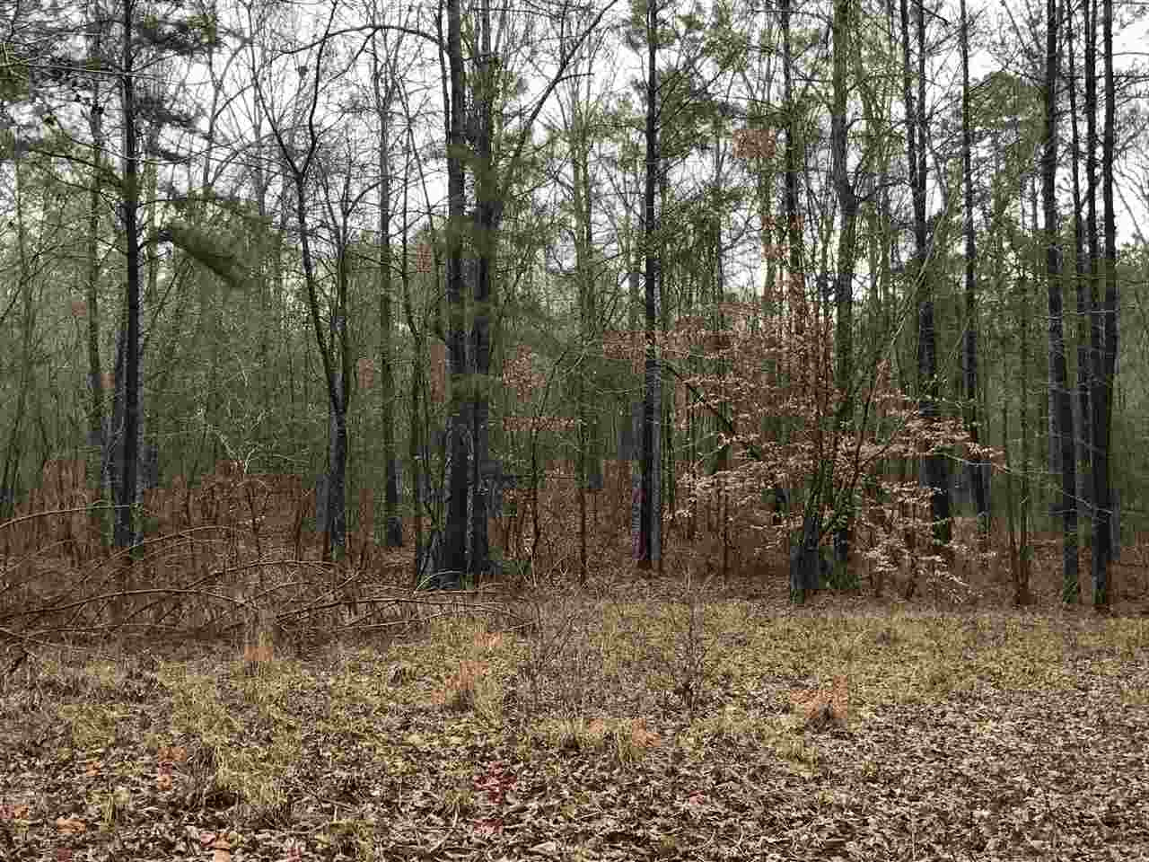 0 Ward Road Florence, MS 39073 - Photo 17 of 29 Photo 17