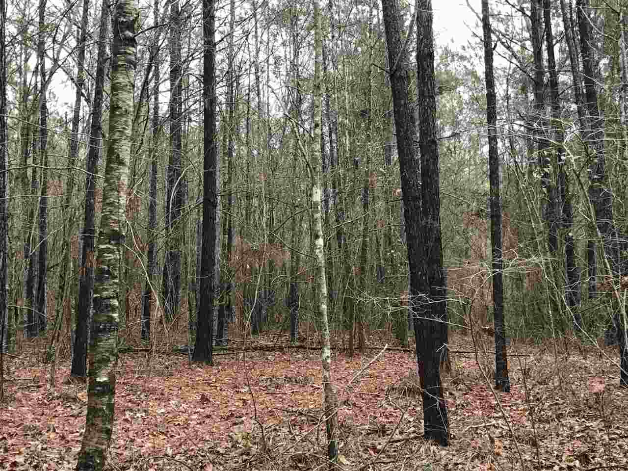 0 Ward Road Florence, MS 39073 - Photo 18 of 29 Photo 18