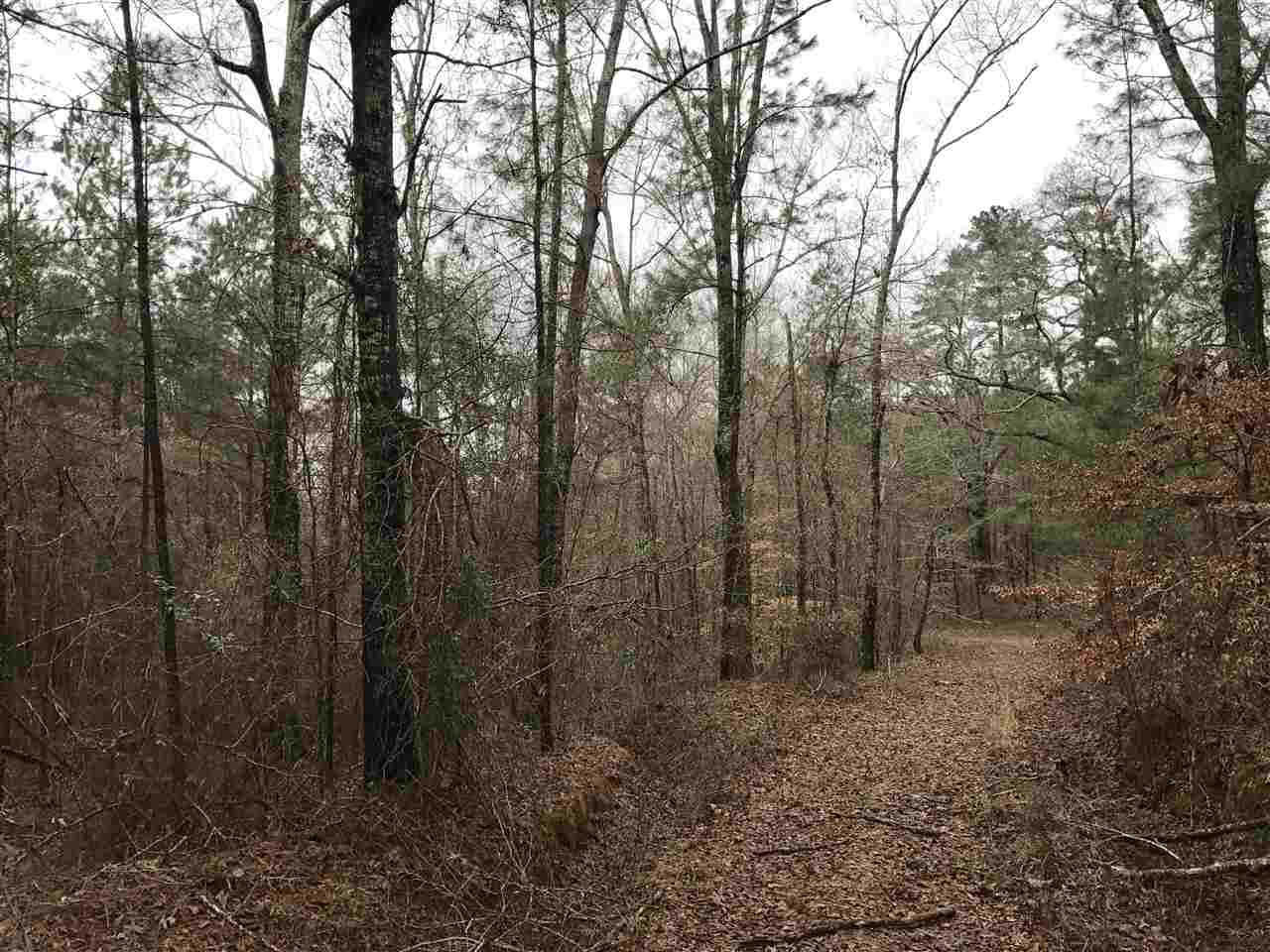 0 Ward Road Florence, MS 39073 - Photo 26 of 29 Photo 26