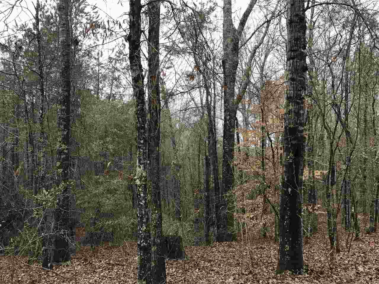 0 Ward Road Florence, MS 39073 - Photo 28 of 29 Photo 28