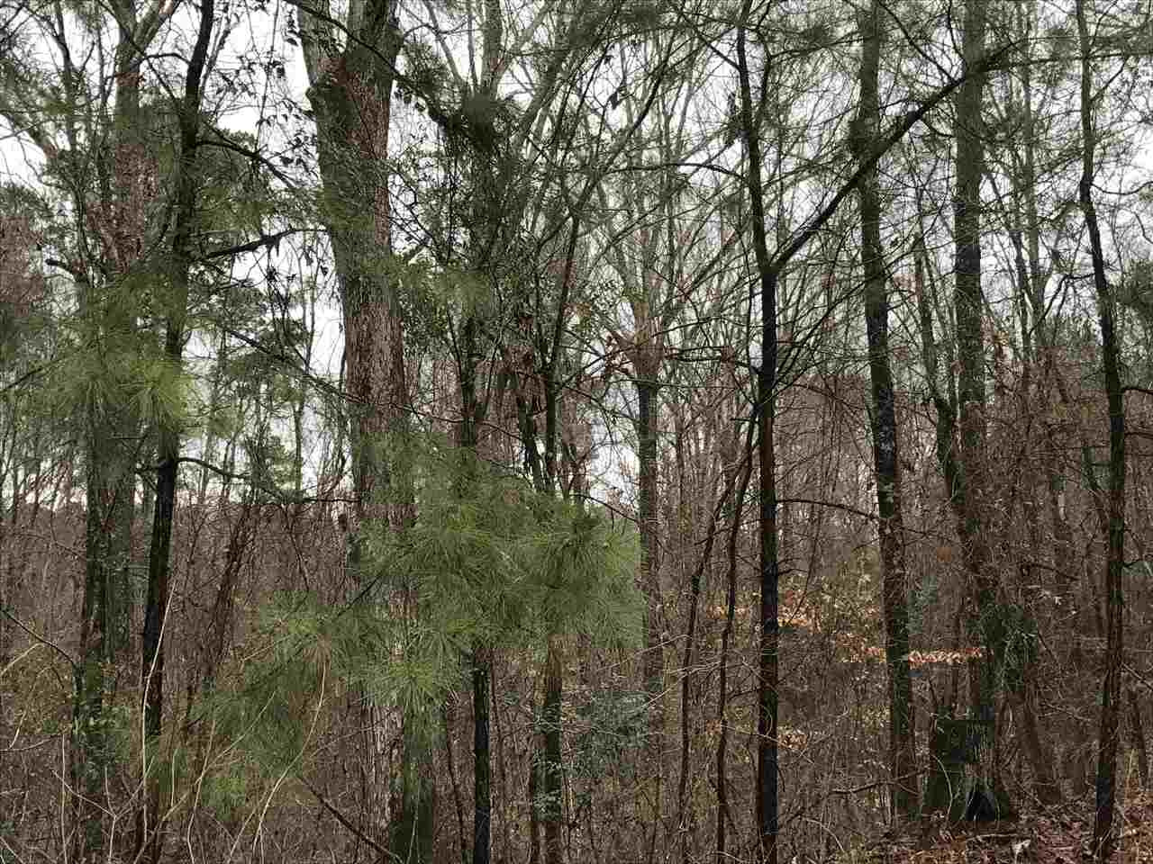 0 Ward Road Florence, MS 39073 - Photo 3 of 29 Photo 3