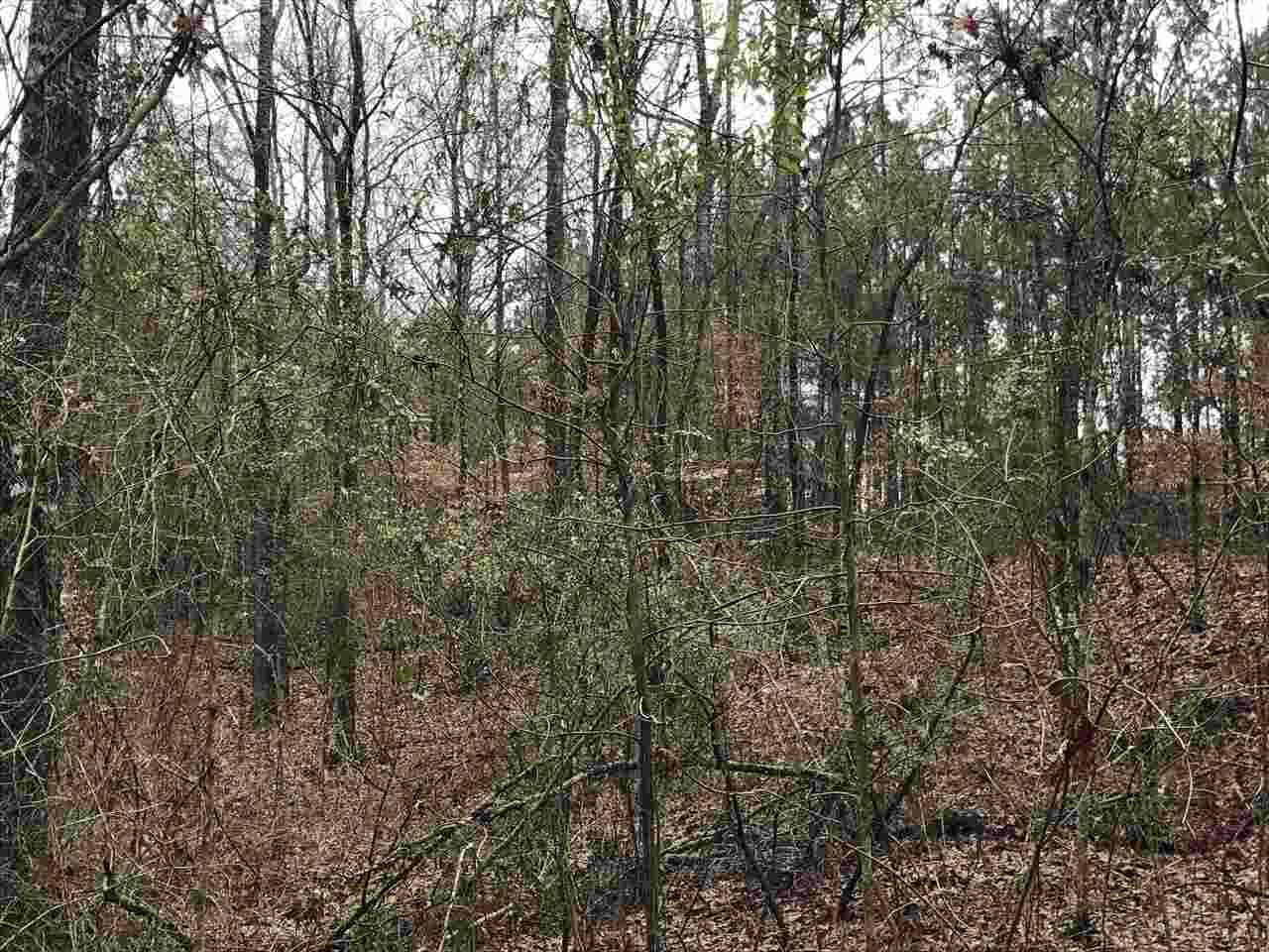 0 Ward Road Florence, MS 39073 - Photo 4 of 29 Photo 4