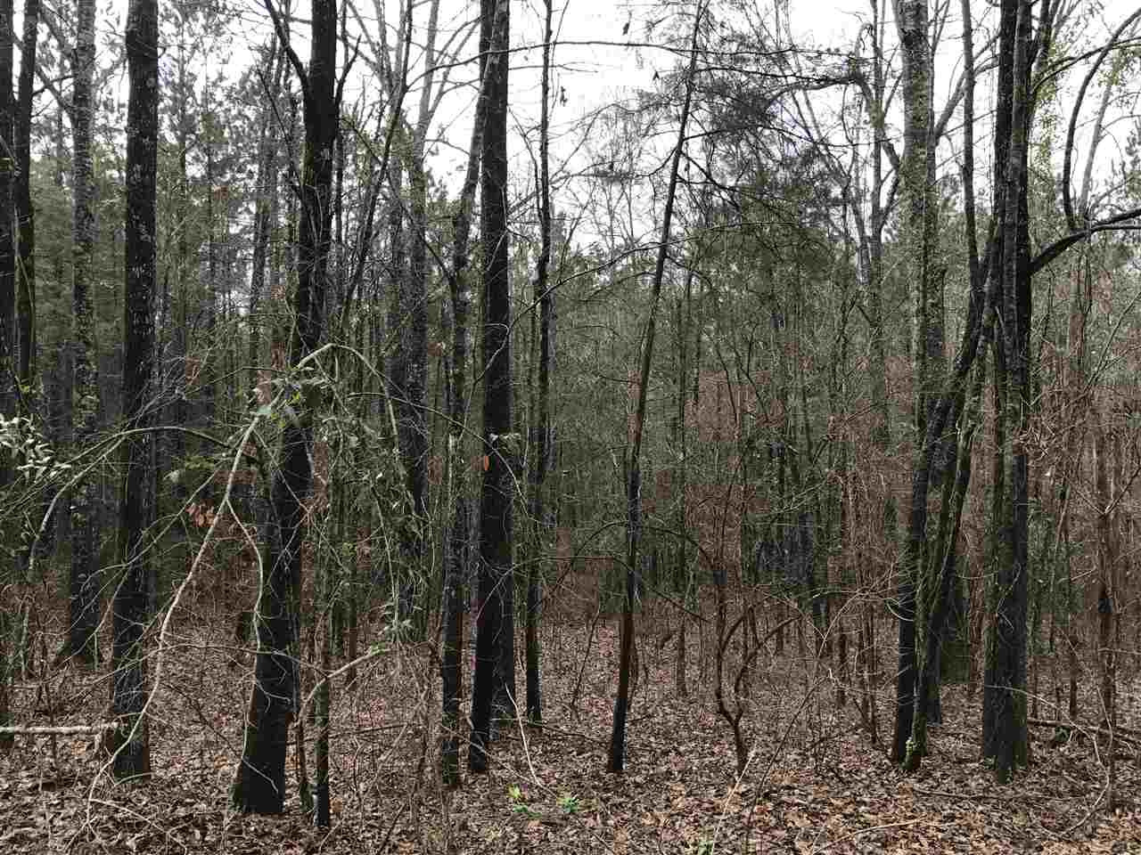 0 Ward Road Florence, MS 39073 - Photo 5 of 29 Photo 5