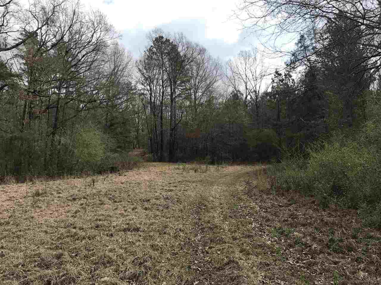 0 Ward Road Florence, MS 39073 - Photo 6 of 29 Photo 6