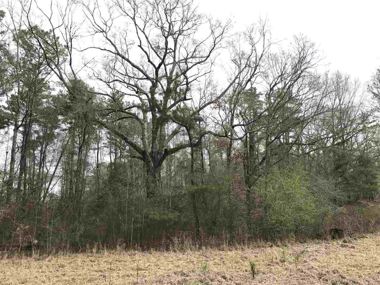 0 Ward Road Florence, MS 39073 - Photo 8 of 29 Photo 8