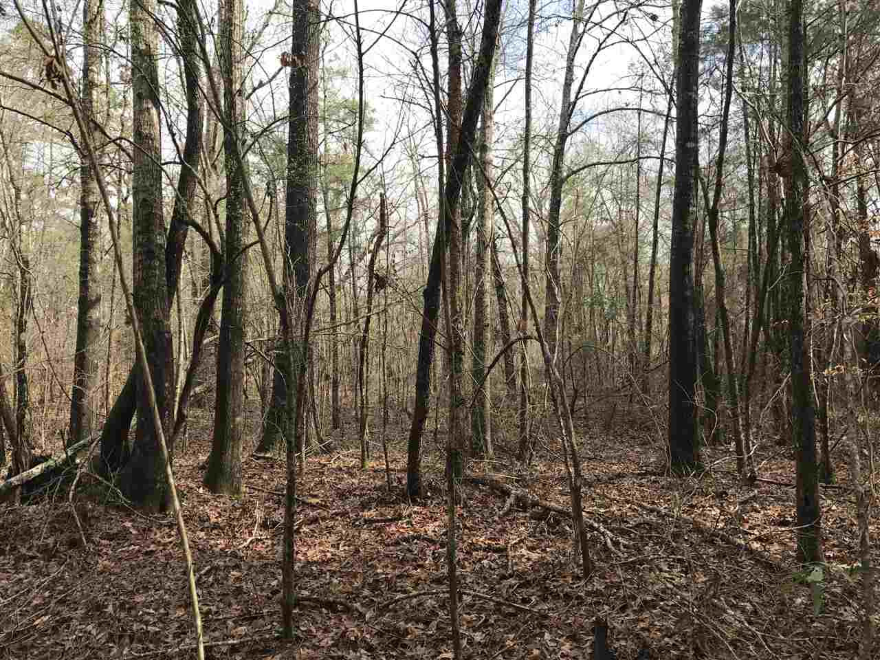 0 Ward Road Florence, MS 39073 - Photo 9 of 29 Photo 9