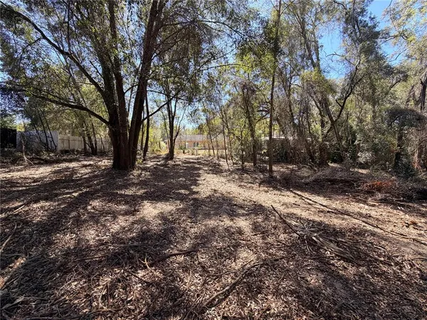 a view of dirt yard with trees