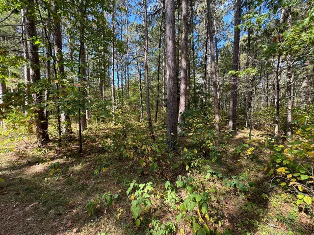 $174,900 | Tbd Midday Circle, Laporte, MN 56461