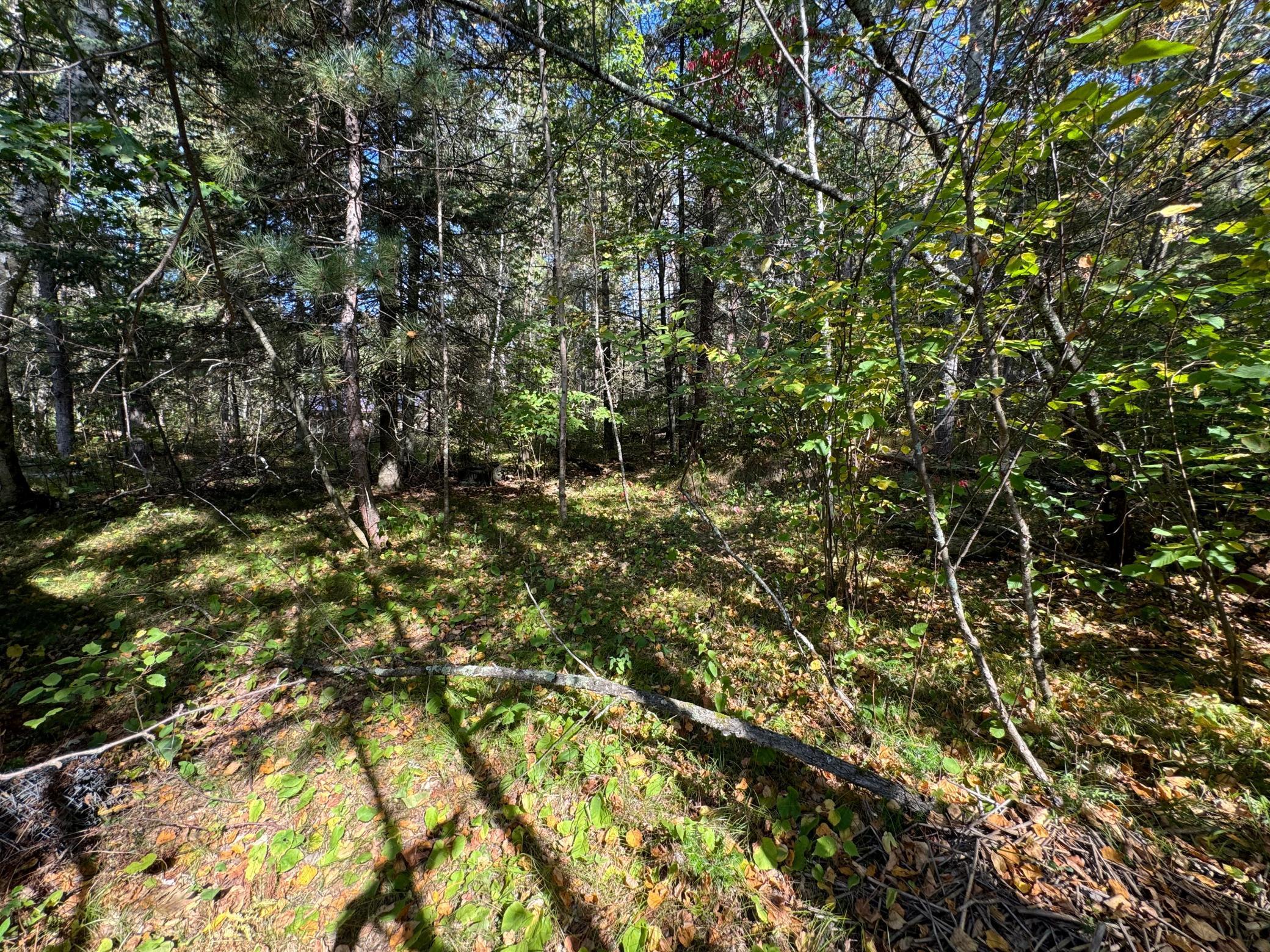 Tbd Midday Circle Laporte, MN 56461 - Photo 14 of 15