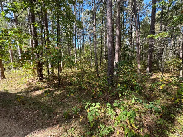 $174,900 | Tbd Midday Circle, Laporte, MN 56461