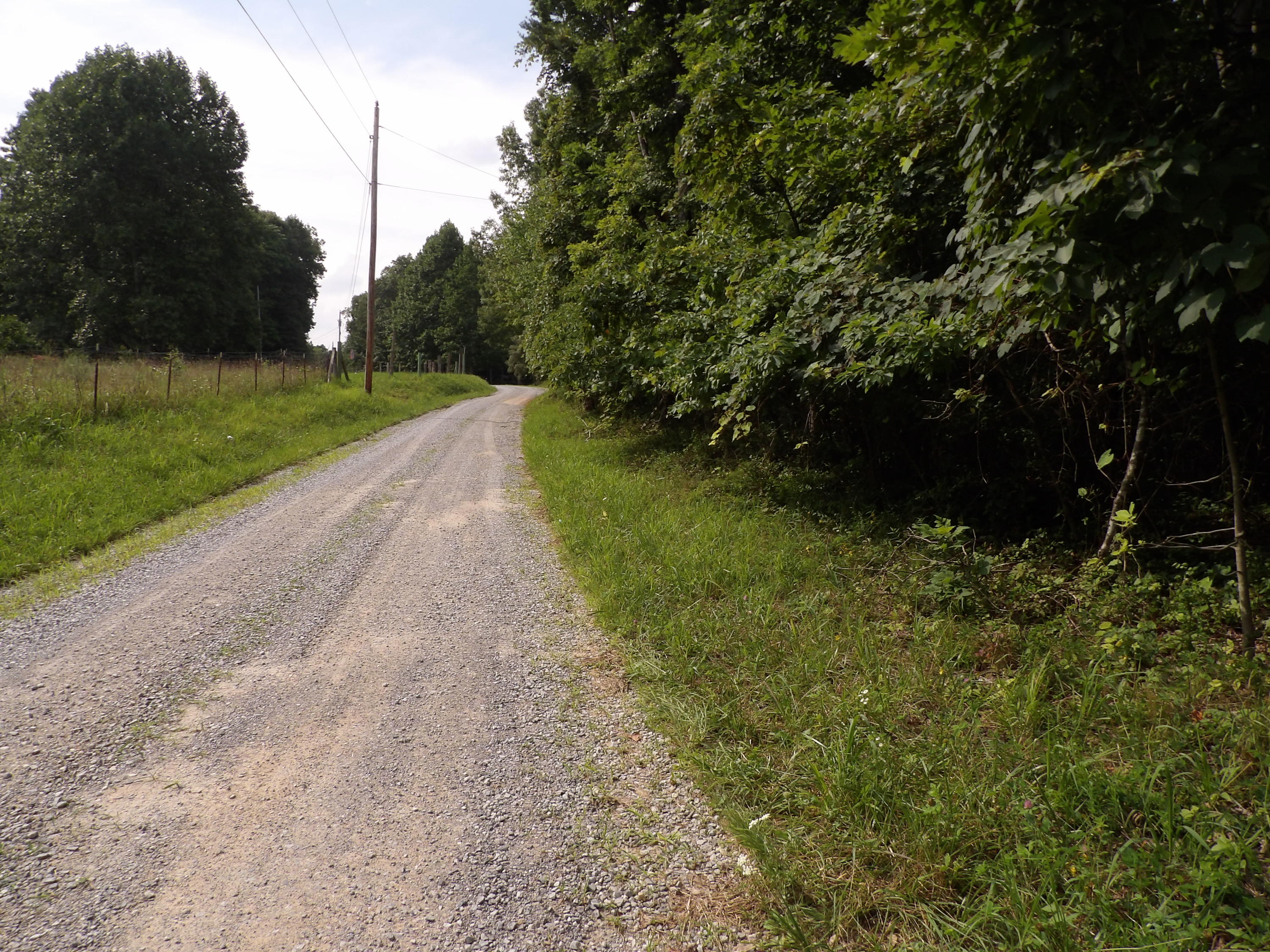 0 Bowater Road Spring City, TN 37381 - Photo 17 of 17 100_2831