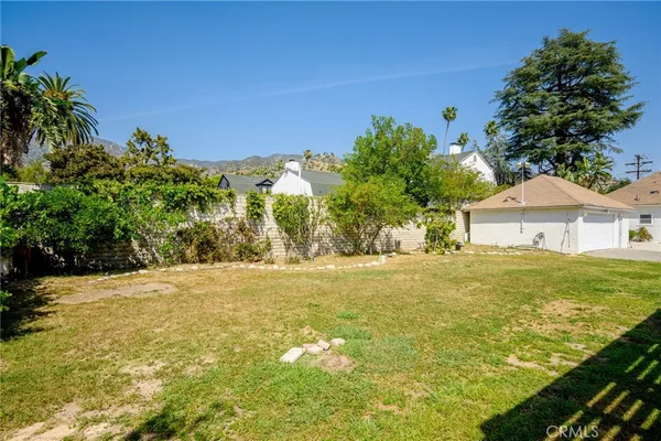 a view of large trees with yard