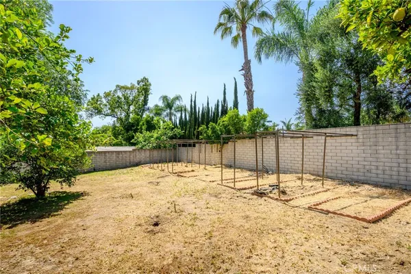 a view of a backyard