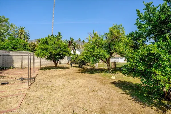 a view of a yard with plants and trees