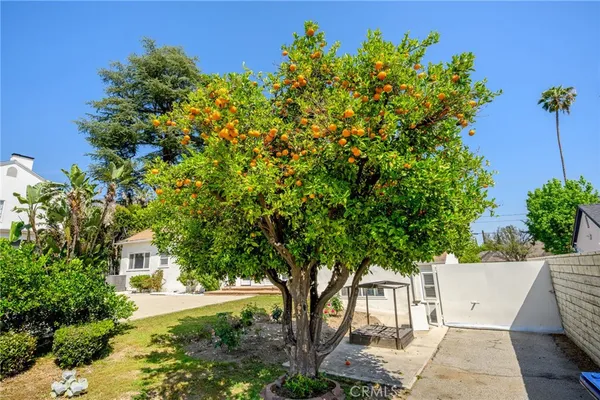 front view of a house with a tree